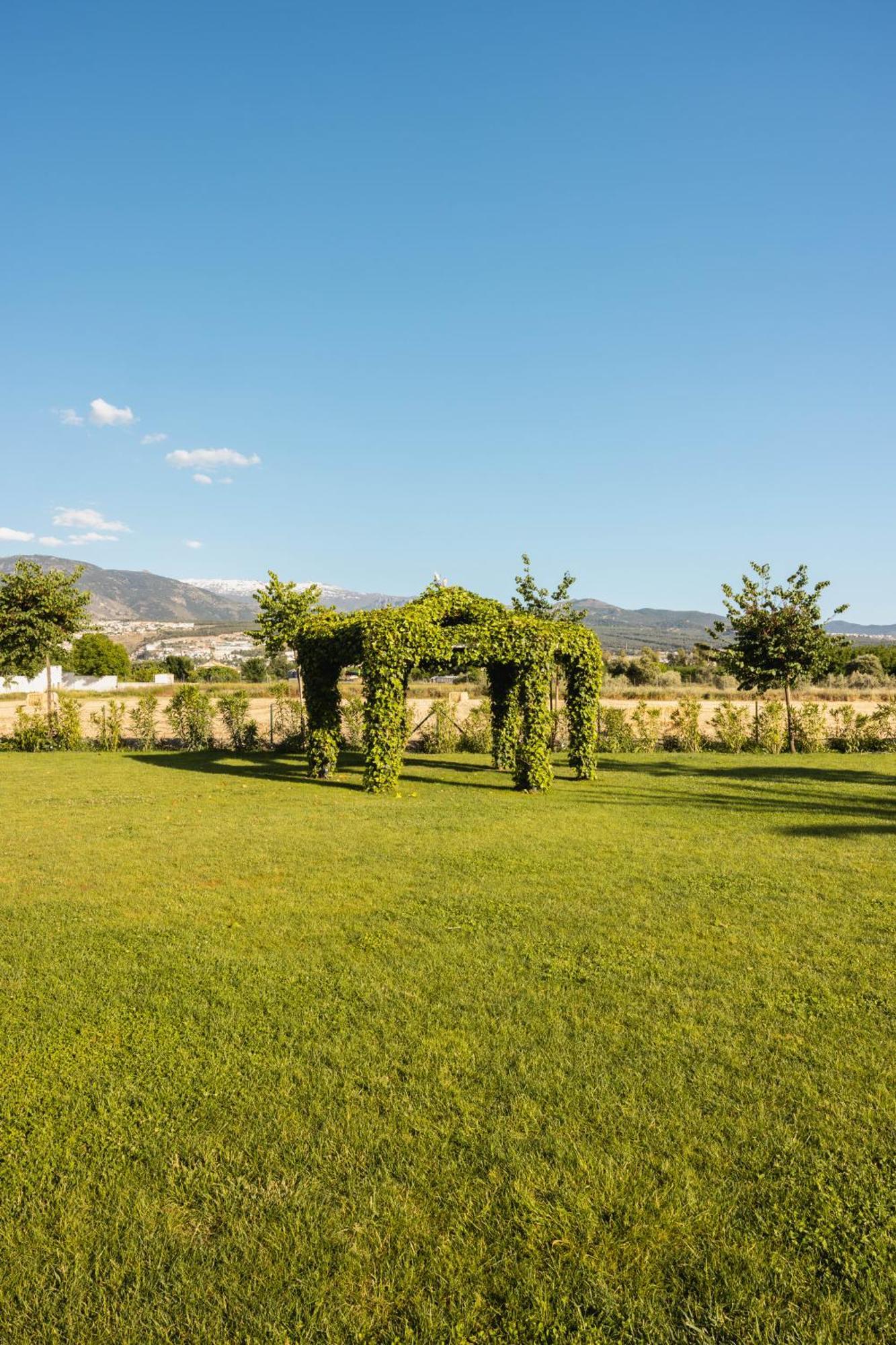 Cortijo El Maizal Villa Granada Buitenkant foto