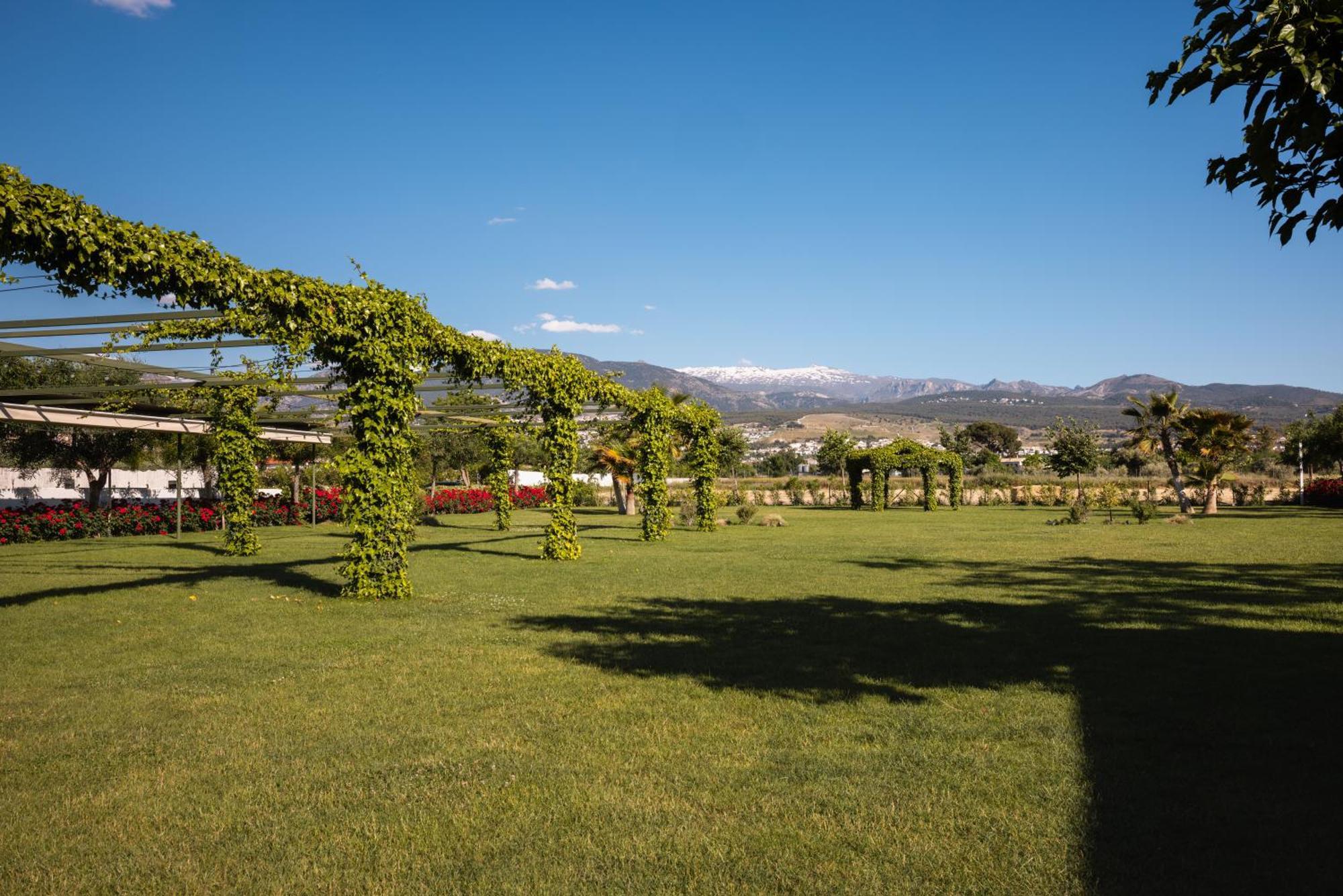Cortijo El Maizal Villa Granada Buitenkant foto